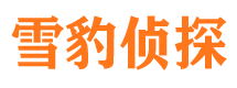 屏边市调查公司